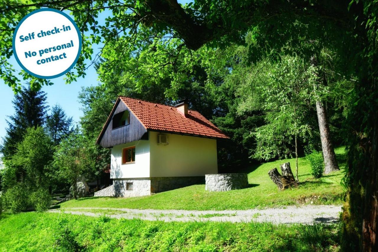 فيلا Forest House فورنيكا المظهر الخارجي الصورة