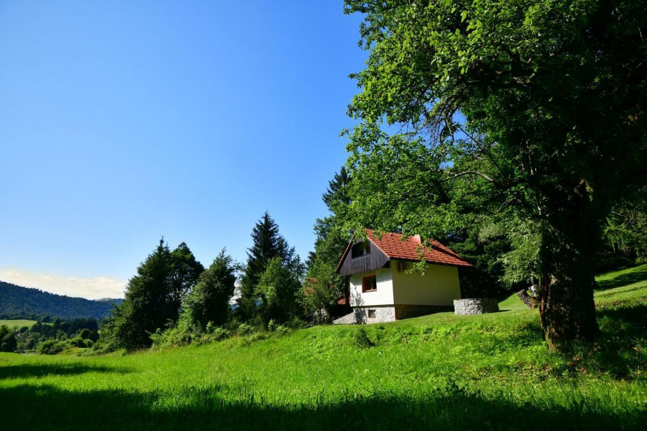 فيلا Forest House فورنيكا المظهر الخارجي الصورة
