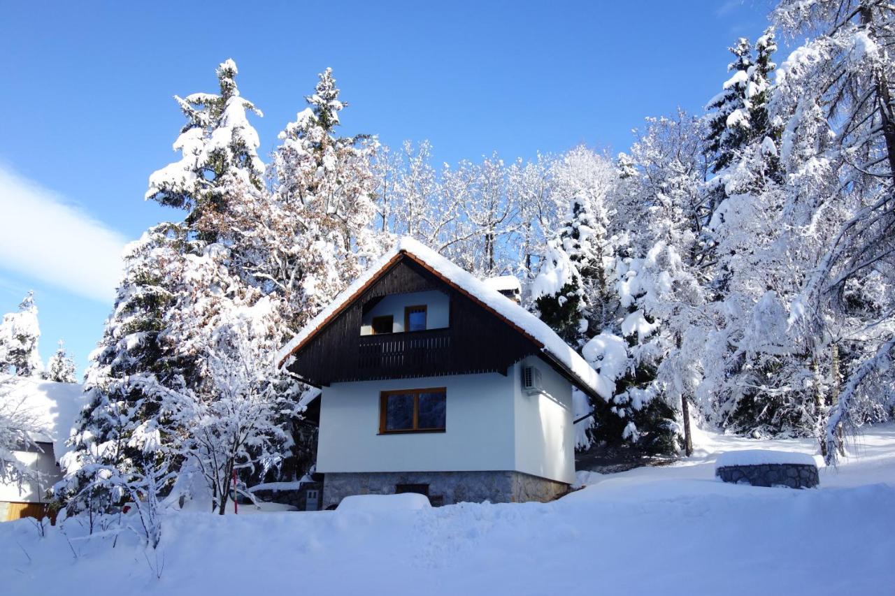 فيلا Forest House فورنيكا المظهر الخارجي الصورة