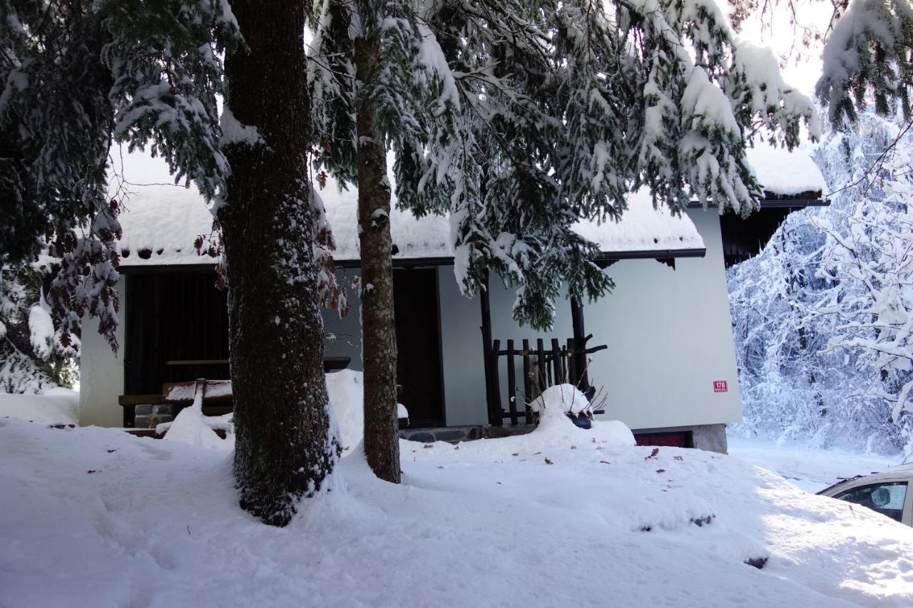 فيلا Forest House فورنيكا المظهر الخارجي الصورة