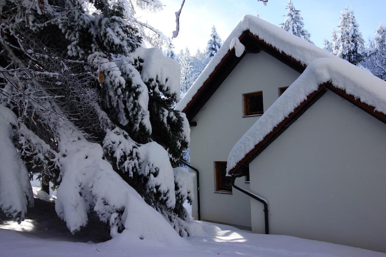 فيلا Forest House فورنيكا المظهر الخارجي الصورة
