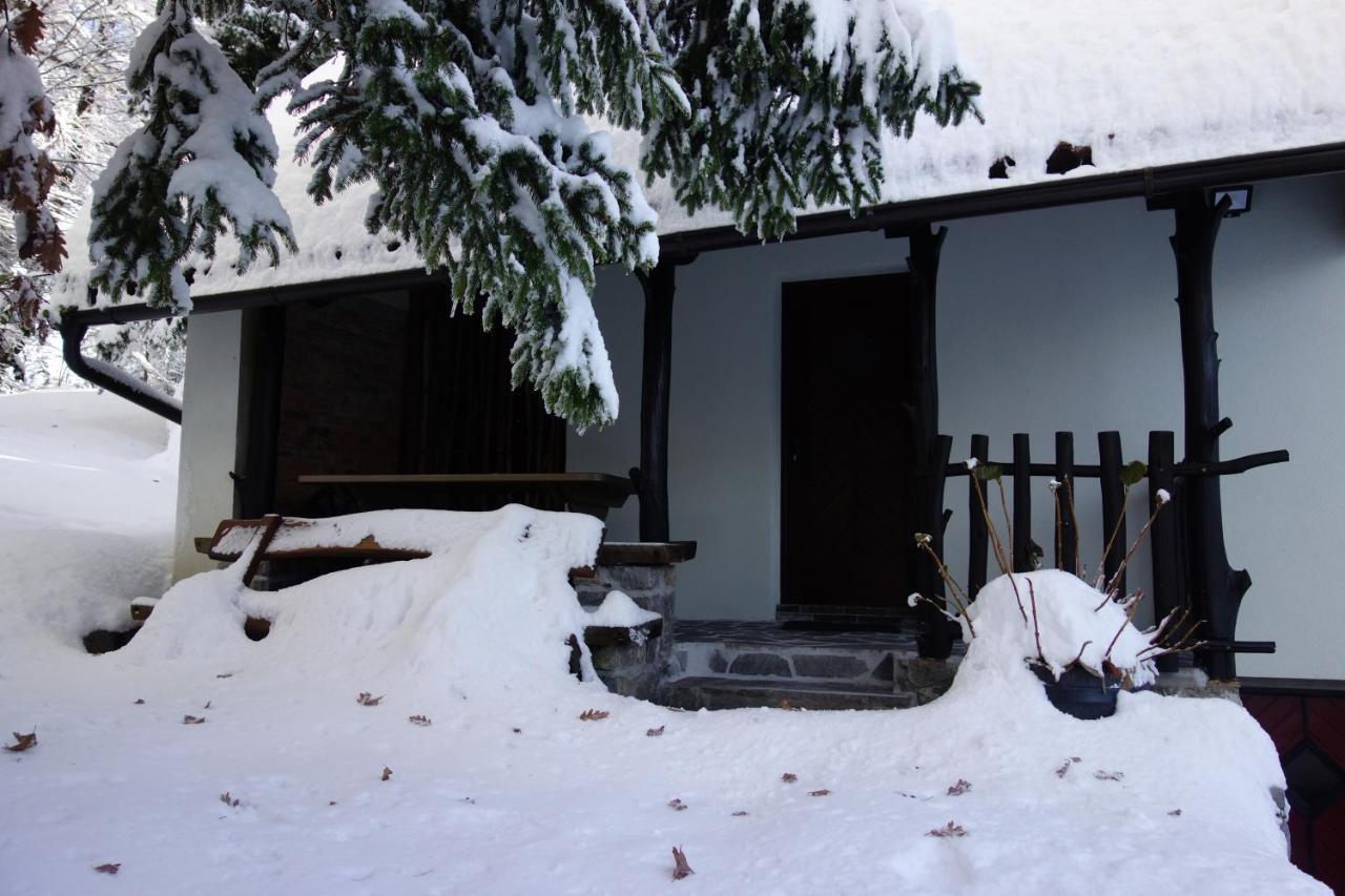 فيلا Forest House فورنيكا المظهر الخارجي الصورة